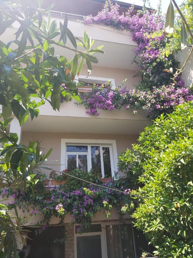 Flowers Guesthouse Tirana Exteriör bild