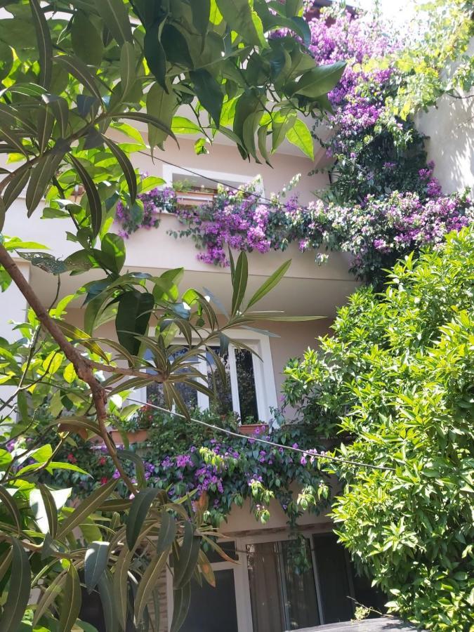 Flowers Guesthouse Tirana Exteriör bild