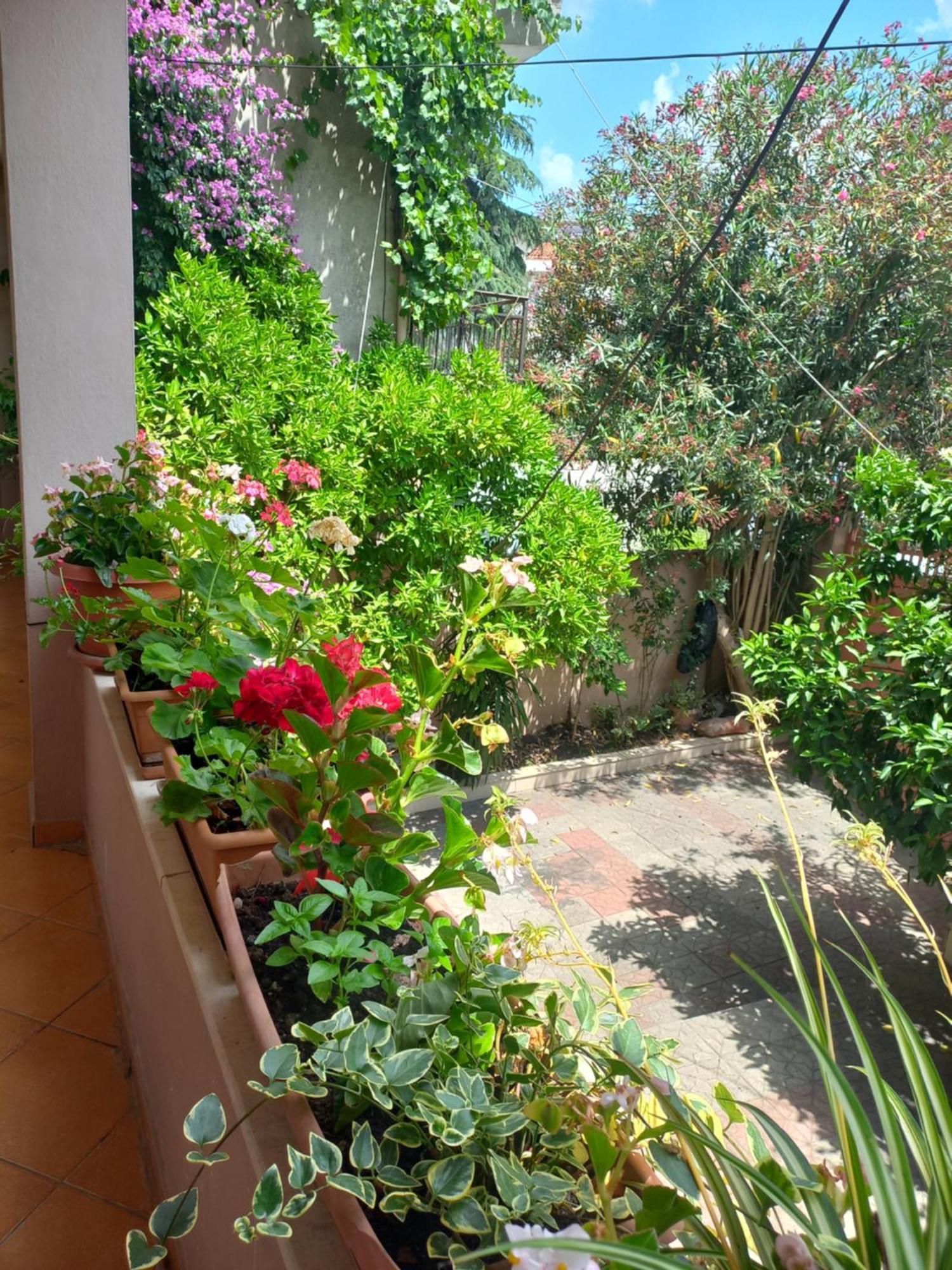Flowers Guesthouse Tirana Exteriör bild